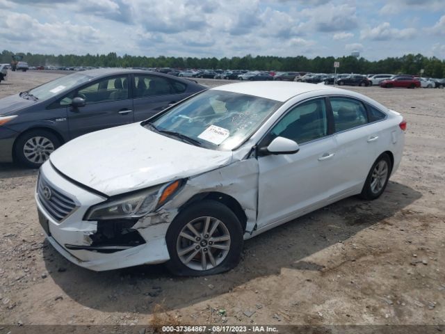 Photo 1 VIN: 5NPE24AF5GH357567 - HYUNDAI SONATA 