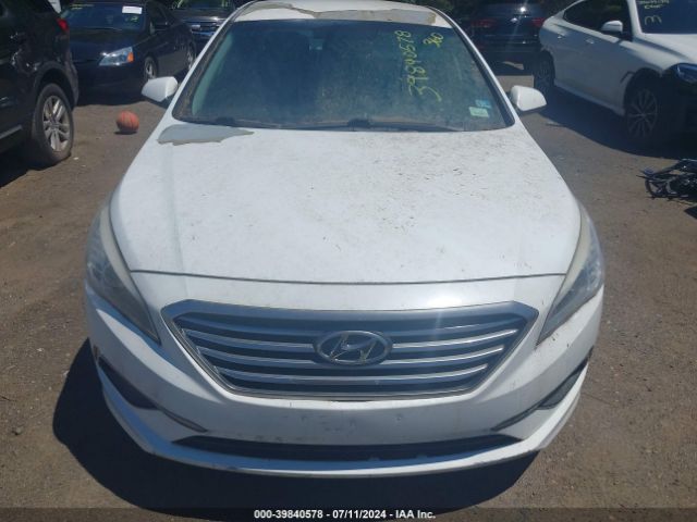 Photo 5 VIN: 5NPE24AF5GH387295 - HYUNDAI SONATA 