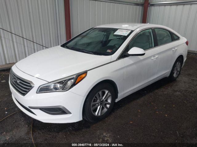 Photo 1 VIN: 5NPE24AF5GH402426 - HYUNDAI SONATA 