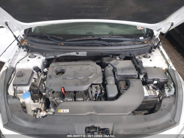 Photo 9 VIN: 5NPE24AF5GH402426 - HYUNDAI SONATA 