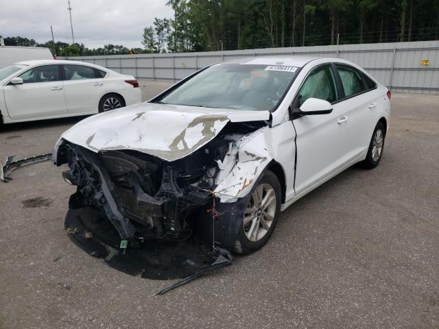 Photo 1 VIN: 5NPE24AF5GH405620 - HYUNDAI SONATA SE 