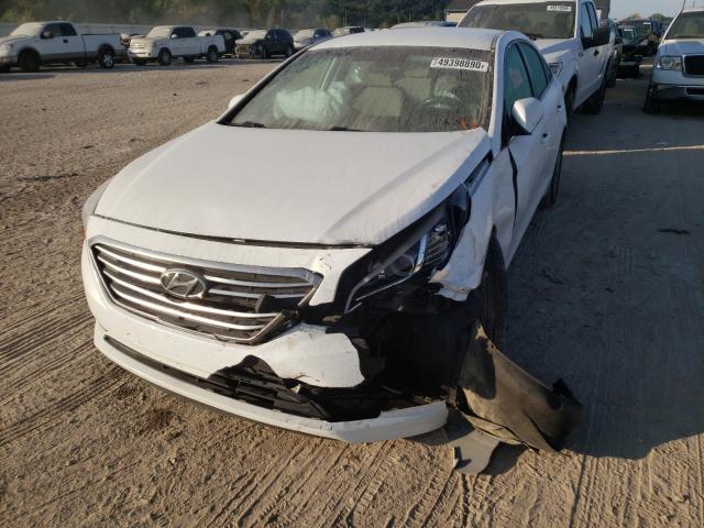 Photo 8 VIN: 5NPE24AF5GH416939 - HYUNDAI SONATA SE 