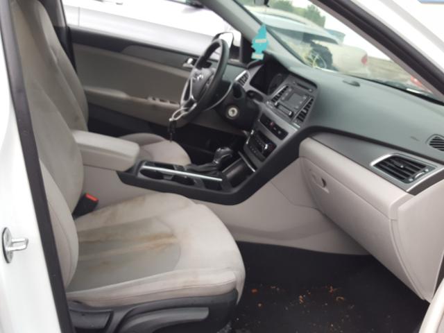 Photo 4 VIN: 5NPE24AF5GH417413 - HYUNDAI SONATA SE 