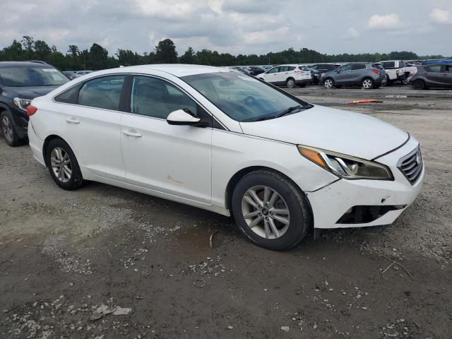 Photo 3 VIN: 5NPE24AF5GH421445 - HYUNDAI SONATA SE 