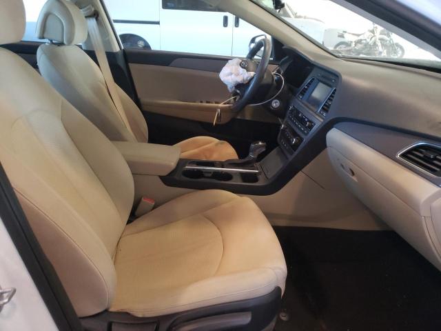 Photo 4 VIN: 5NPE24AF5GH433627 - HYUNDAI SONATA SE 