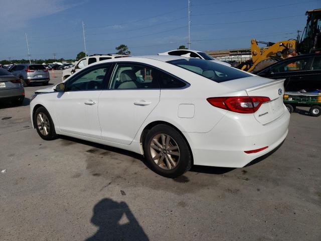 Photo 1 VIN: 5NPE24AF5HH446248 - HYUNDAI SONATA SE 