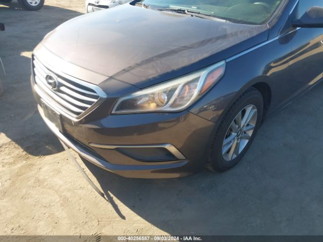 Photo 5 VIN: 5NPE24AF5HH455872 - HYUNDAI SONATA 