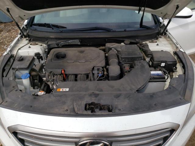 Photo 10 VIN: 5NPE24AF5HH469920 - HYUNDAI SONATA 