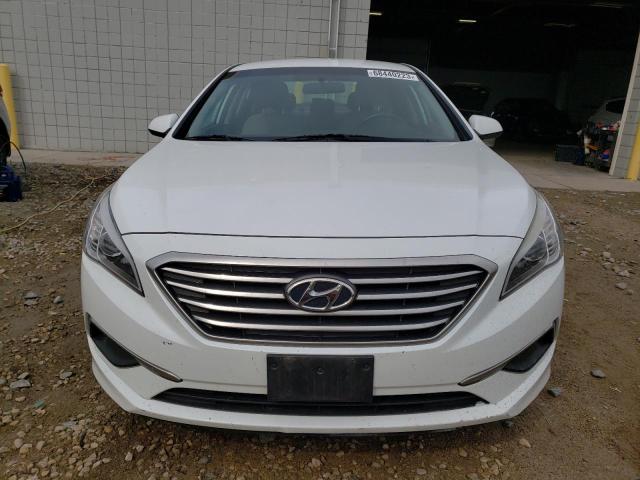 Photo 4 VIN: 5NPE24AF5HH469920 - HYUNDAI SONATA 