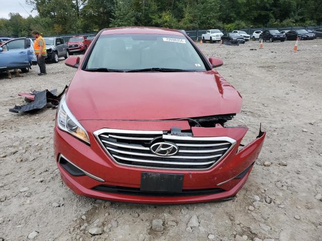 Photo 4 VIN: 5NPE24AF5HH498091 - HYUNDAI SONATA SE 