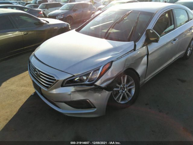 Photo 5 VIN: 5NPE24AF5HH516993 - HYUNDAI SONATA 