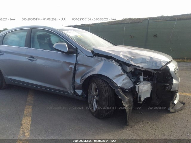 Photo 5 VIN: 5NPE24AF5HH522437 - HYUNDAI SONATA 