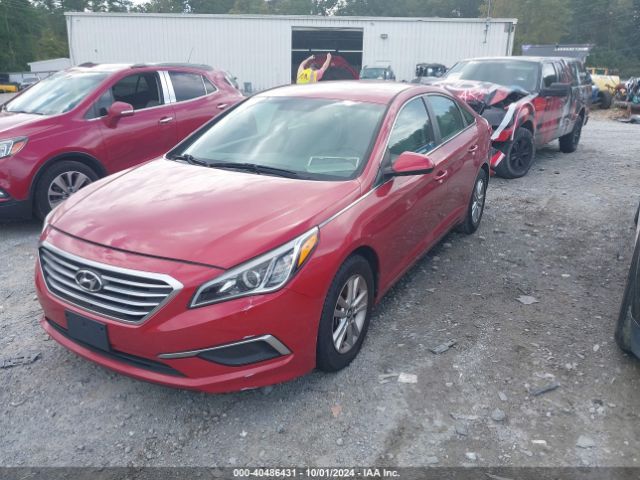 Photo 1 VIN: 5NPE24AF5HH528772 - HYUNDAI SONATA 