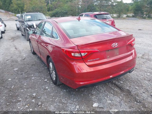 Photo 2 VIN: 5NPE24AF5HH528772 - HYUNDAI SONATA 