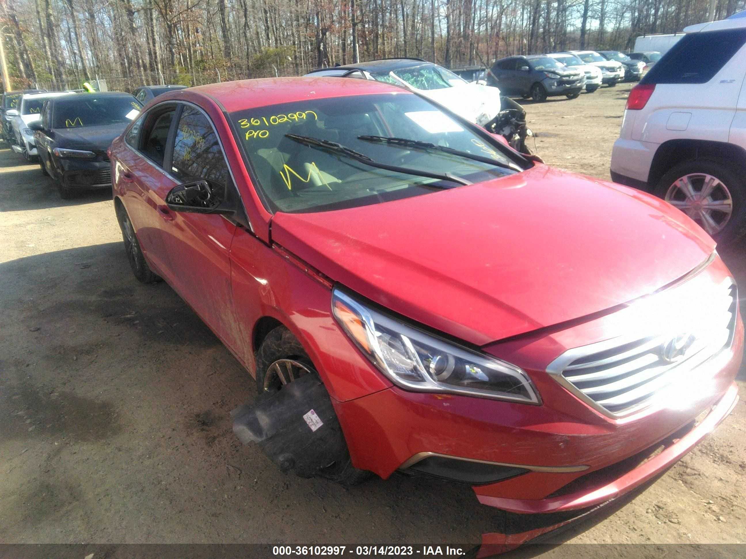 Photo 5 VIN: 5NPE24AF5HH538959 - HYUNDAI SONATA 