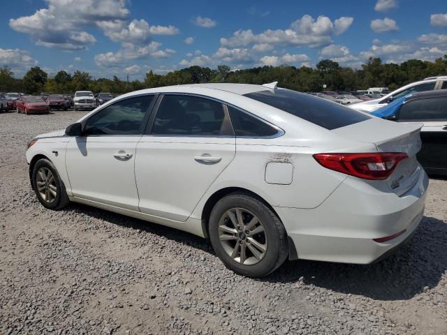 Photo 1 VIN: 5NPE24AF5HH540226 - HYUNDAI SONATA SE 