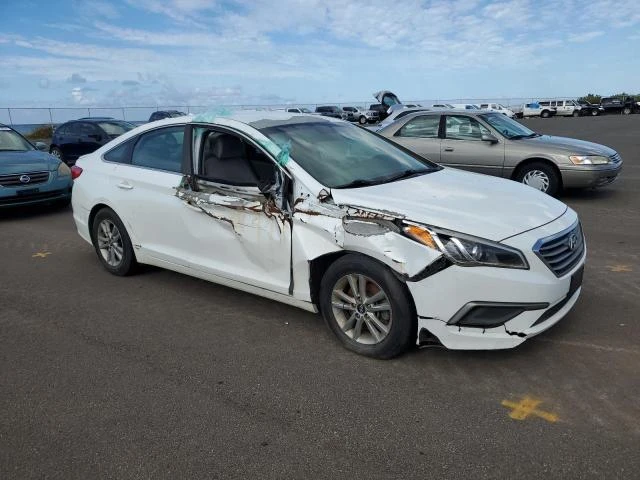 Photo 3 VIN: 5NPE24AF5HH540789 - HYUNDAI SONATA SE 