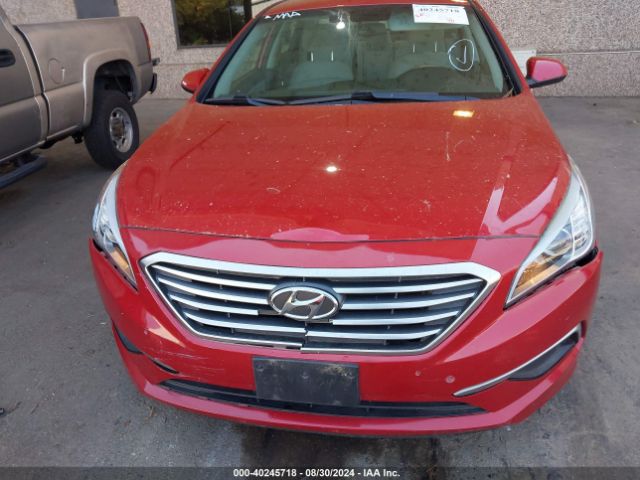 Photo 5 VIN: 5NPE24AF5HH542039 - HYUNDAI SONATA 