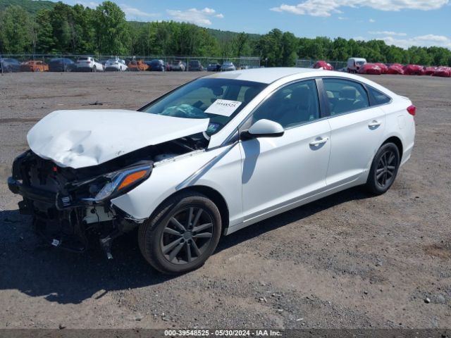 Photo 1 VIN: 5NPE24AF5HH547838 - HYUNDAI SONATA 