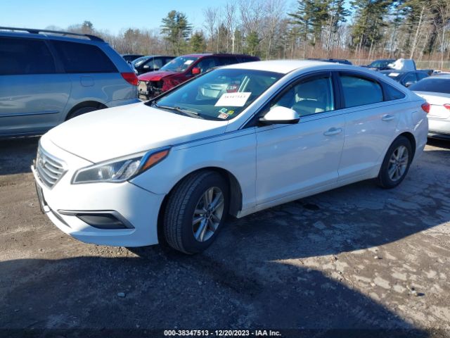 Photo 1 VIN: 5NPE24AF5HH549038 - HYUNDAI SONATA 