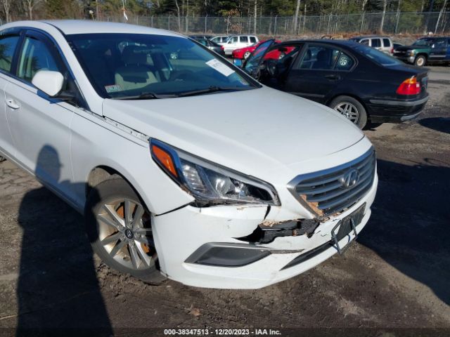 Photo 5 VIN: 5NPE24AF5HH549038 - HYUNDAI SONATA 