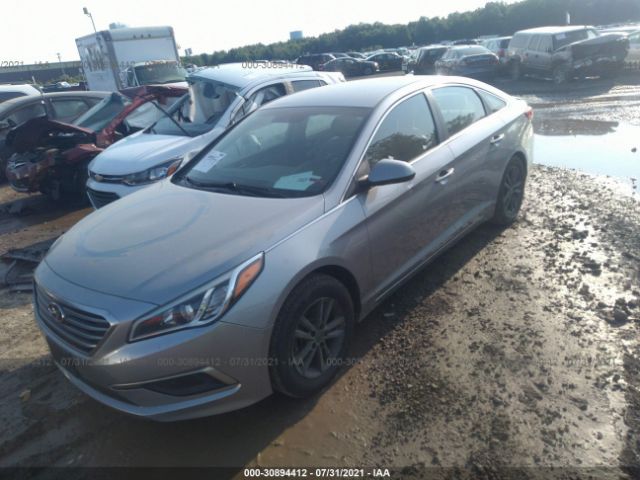 Photo 5 VIN: 5NPE24AF5HH554420 - HYUNDAI SONATA 