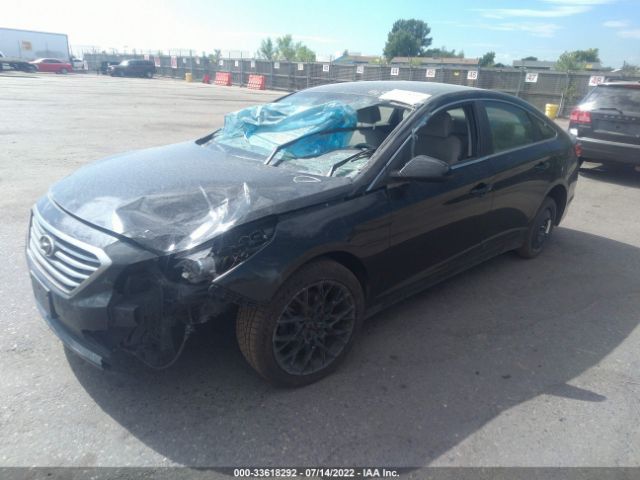 Photo 1 VIN: 5NPE24AF5HH557950 - HYUNDAI SONATA 