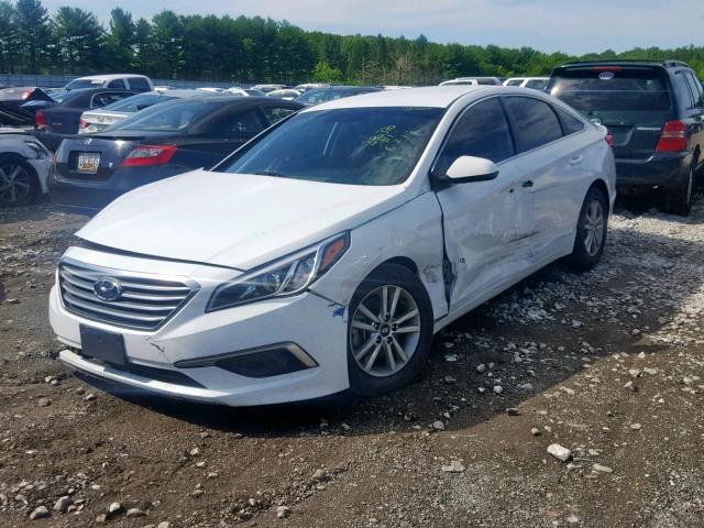 Photo 1 VIN: 5NPE24AF5HH566339 - HYUNDAI SONATA 