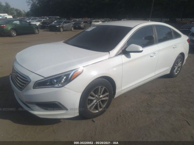 Photo 1 VIN: 5NPE24AF5HH568799 - HYUNDAI SONATA 