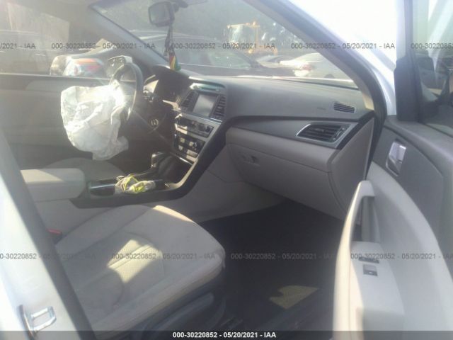 Photo 4 VIN: 5NPE24AF5HH568799 - HYUNDAI SONATA 