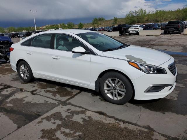 Photo 3 VIN: 5NPE24AF5HH575686 - HYUNDAI SONATA 