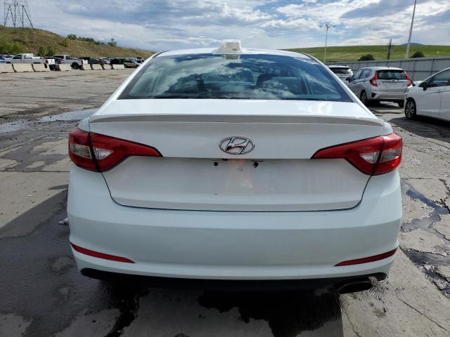 Photo 5 VIN: 5NPE24AF5HH575686 - HYUNDAI SONATA 