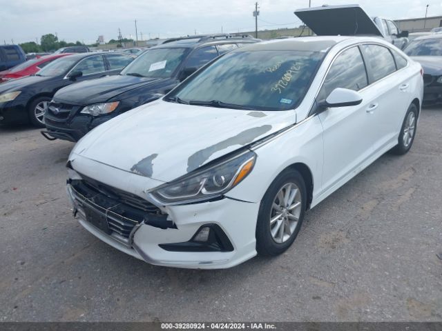 Photo 1 VIN: 5NPE24AF5JH655656 - HYUNDAI SONATA 