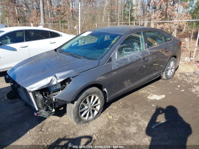 Photo 1 VIN: 5NPE24AF5JH673025 - HYUNDAI SONATA 