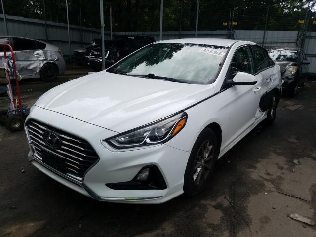 Photo 1 VIN: 5NPE24AF5JH693372 - HYUNDAI SONATA SE 