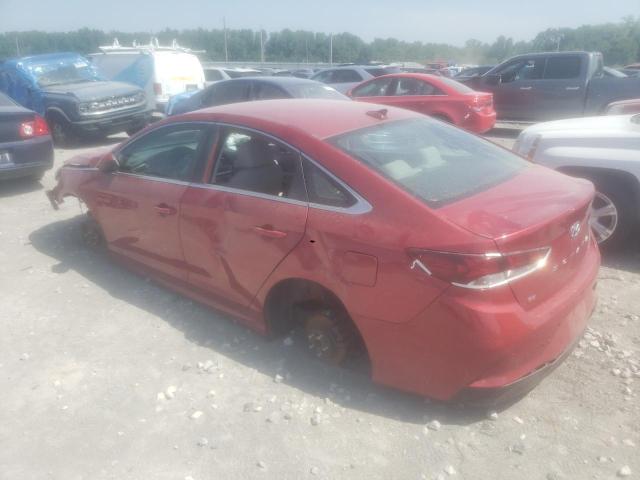 Photo 1 VIN: 5NPE24AF5JH701230 - HYUNDAI SONATA SE 