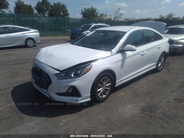 Photo 1 VIN: 5NPE24AF5JH708369 - HYUNDAI SONATA 