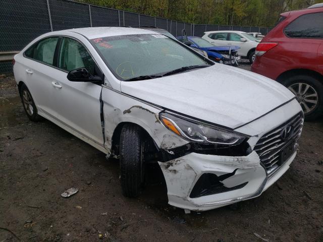 Photo 0 VIN: 5NPE24AF5JH724894 - HYUNDAI SONATA SE 