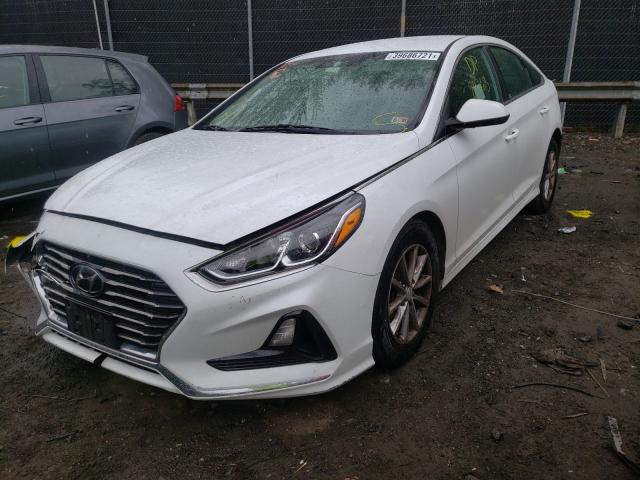 Photo 1 VIN: 5NPE24AF5JH724894 - HYUNDAI SONATA SE 