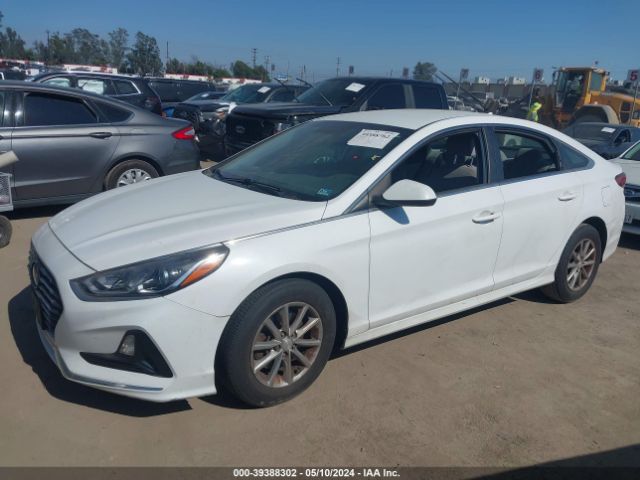 Photo 1 VIN: 5NPE24AF5JH726354 - HYUNDAI SONATA 