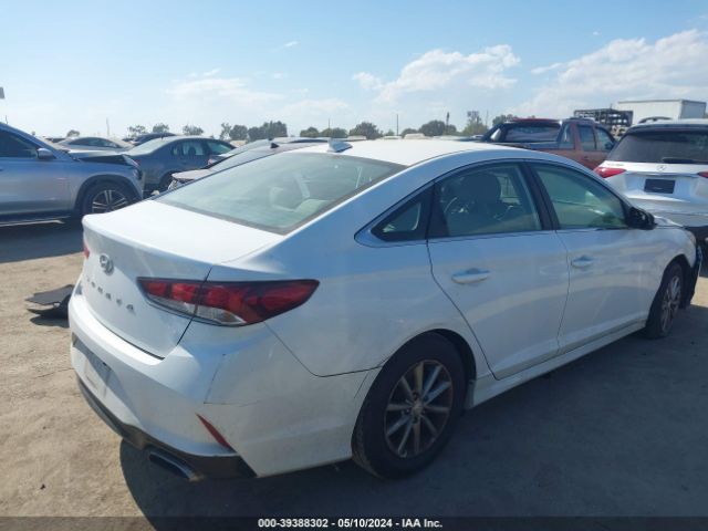 Photo 3 VIN: 5NPE24AF5JH726354 - HYUNDAI SONATA 