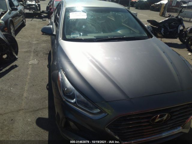 Photo 5 VIN: 5NPE24AF5KH730423 - HYUNDAI SONATA 