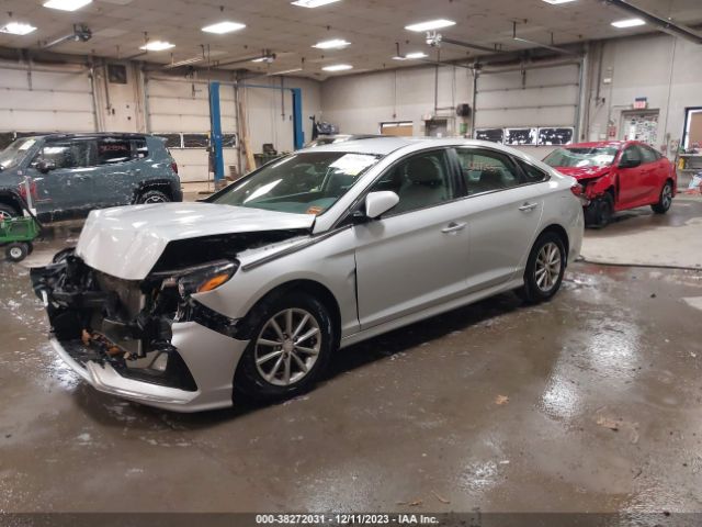 Photo 1 VIN: 5NPE24AF5KH731894 - HYUNDAI SONATA 