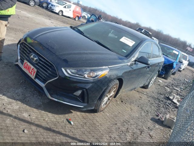 Photo 1 VIN: 5NPE24AF5KH736139 - HYUNDAI SONATA 