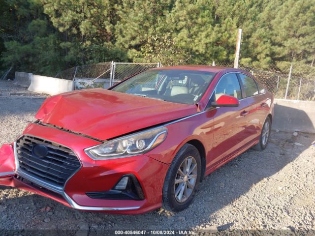 Photo 1 VIN: 5NPE24AF5KH737355 - HYUNDAI SONATA 