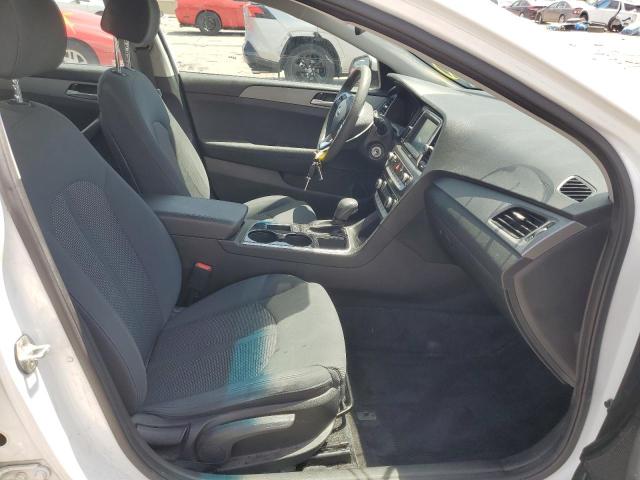 Photo 4 VIN: 5NPE24AF5KH743673 - HYUNDAI SONATA SE 