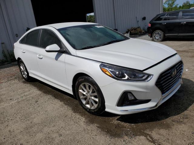 Photo 3 VIN: 5NPE24AF5KH747092 - HYUNDAI SONATA 