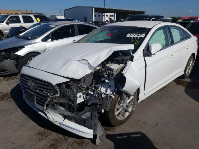 Photo 1 VIN: 5NPE24AF5KH749649 - HYUNDAI SONATA SE 