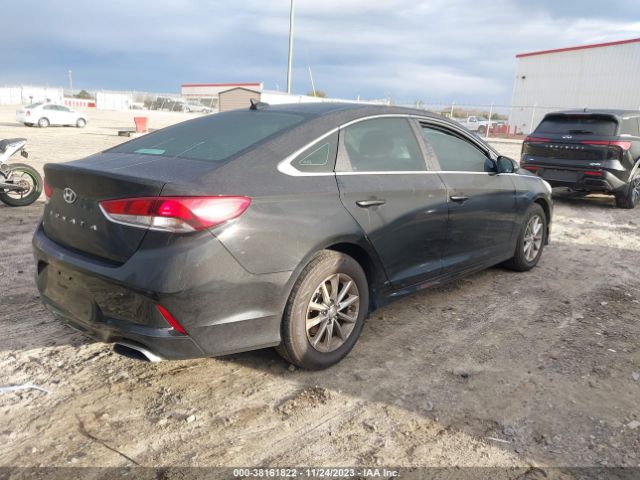 Photo 3 VIN: 5NPE24AF5KH753104 - HYUNDAI SONATA 