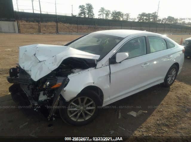 Photo 1 VIN: 5NPE24AF5KH766001 - HYUNDAI SONATA 